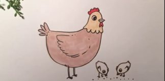 Kolay Tavuk Resmi Nasıl Çizilir - Okul Öncesi Etkinlikleri - civciv çizimi komik civciv resmi tavuk kümesi çizimi tavuk nasıl çizilir tavuk resmi boyama tavuk resmi çizgi tavuk resmi çizimi
