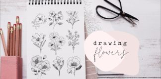 Çiçek Çizimi - Hobi Dünyası - çiçek çizimi gül çizimi kara kalem çiçek çizimi kolay çiçek çizimi papatya çizimi saksıda çiçek çizimi