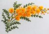 El Nakışı Mimoza Çiçeği Yapılışı - Nakış - brezilya nakışı nasıl yapılır brezilya nakışı örnekleri el nakışı çiçek yapımı el nakışı videoları