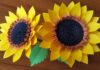 Kağıttan Ayçiçeği Yapımı - Hobi Dünyası Okul Öncesi Etkinlikleri - ayçiçeği yapımı ayçiçeği yapımı okul öncesi kağıttan ayçiçeği kartondan ayçiçeği yapımı