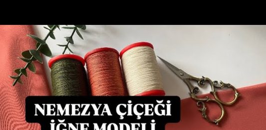Düz Yazmaya Çıtı Pıtı İğne Oyası - İğne Oyaları - en yeni çıtı pıtı iğne oyası modelleri iğne oyası örnekleri iğne oyası yapımı kolay çıtı pıtı iğne oyası modelleri sıralı çıtı pıtı iğne oyası modelleri