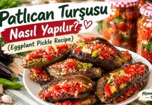 Sirkesiz Patlıcan Turşusu Tarifi Sirkesiz Patlıcan Turşusu Tarifi - Yemek Tarifleri - haşlanmış patlıcan turşusu minik patlıcan turşusu patlıcan dolma turşusu patlıcan turşusu videolu turşu tarifleri karışık